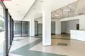 Gewerbefläche 199 m² Ponewiesch, Litauen