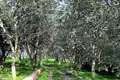 3 bedroom villa 330 m² Boliqueime, Portugal
