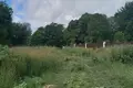 Land  Bolsevrudskoe selskoe poselenie, Russia