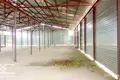 Склад 200 м² в Дворище, Беларусь