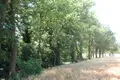 Коммерческое помещение 150 м² Терни, Италия