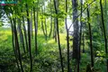 Квартира 2 комнаты 38 м² Вильнюс, Литва