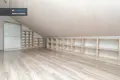 House 165 m² Svirplionys, Lithuania