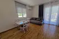 Квартира 1 спальня 41 м² Будва, Черногория