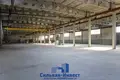 Warehouse 3 924 m² in Kalodziscanski sielski Saviet, Belarus