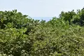 Grundstück  Gemeinde Thasos, Griechenland