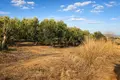 Land 4 000 m² Nea Triglia, Greece