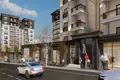 Квартира 1 комната 245 м² Башакшехир, Турция