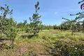 Дом 87 м² Варковичи, Беларусь