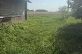 Haus 50 m² Dzitvianski sielski Saviet, Belarus