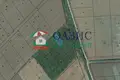 Commercial property 999 m² in Tankovo, Bulgaria