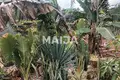 Dom 2 pokoi 60 m² Nungwi, Tanzania
