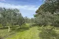 Land 4 260 m² Punta Kriza, Croatia
