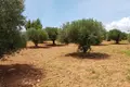 Land 1 room  Nikiti, Greece