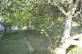 Działki  Holacki sielski Saviet, Białoruś