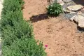 4 bedroom house  Souni–Zanatzia, Cyprus