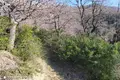 Atterrir  Tomba, Monténégro