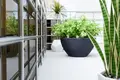 Commercial real estate City Home