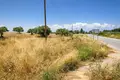 Grundstück 14 000 m² Kassandrino, Griechenland