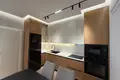 LIQENI I THATE, RENTING 1+1 APARTMENT