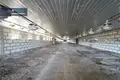 Propriété commerciale 182 m² à Musninkeliai, Lituanie