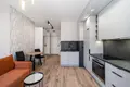 Studio 1 chambre 21 m² Lodz, Pologne