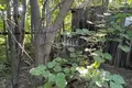 Atterrir 800 m² Sokolskoe, Russie