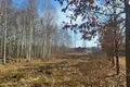 Земельные участки 1 комната 1 299 м² Отвоцк, Польша