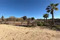 Land 2 bedrooms 267 m² Algorfa, Spain