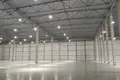 Entrepôt 6 000 m² à Saint-Pétersbourg, Russie