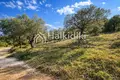 Parcelas 9 205 m² Neos Marmaras, Grecia