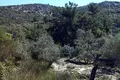 Land 1 room 13 000 m² Thassos Municipality, Greece