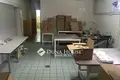 Commercial property 280 m² in Lajosmizse, Hungary