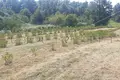 Parcelas 135 825 m² Opcina Krnjak, Croacia