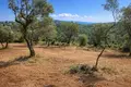 Land 14 521 m² Megali Panagia, Greece