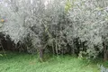 Коттедж 1 спальня  Cianciana, Италия