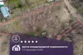 Atterrir  Krasnienski sielski Saviet, Bélarus