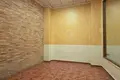 Коммерческое помещение 300 м² Торревьеха, Испания
