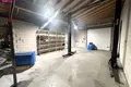 Gewerbefläche 76 m² Alitten, Litauen