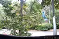 Appartement 2 chambres 46 m² en Varna, Bulgarie