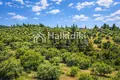 Parcelas 9 312 m² Agios Nikolaos, Grecia