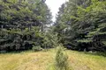 Atterrir  Zabljak, Monténégro