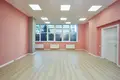 Propiedad comercial 720 m² en Odesa, Ucrania
