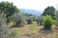 Land  Skotina, Greece