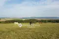 Land 93 300 m² Tok, Hungary