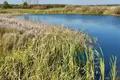 Дом 2 комнаты 29 м² Пуховичский сельский Совет, Беларусь