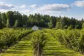 Grundstück  Malahovskoe selskoe poselenie, Russland
