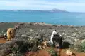 Grundstück  Kokkino Chorio, Griechenland