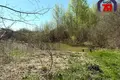Дом 210 м² Свирь, Беларусь