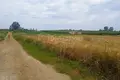 Land 7 250 m² Nea Flogita, Greece